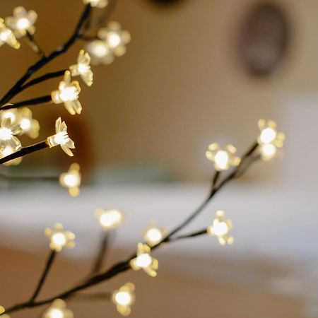 Apartman Dobre Rano Banská Štiavnica Zewnętrze zdjęcie