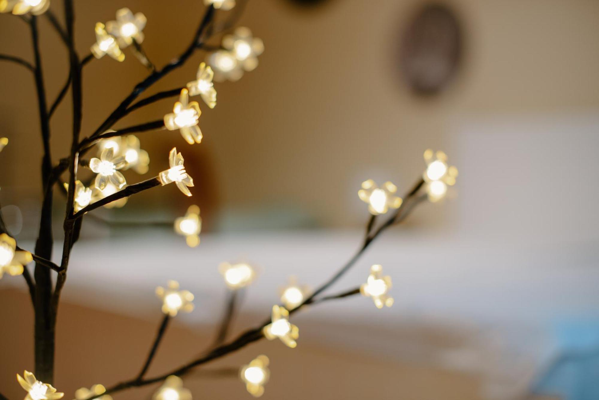 Apartman Dobre Rano Banská Štiavnica Zewnętrze zdjęcie